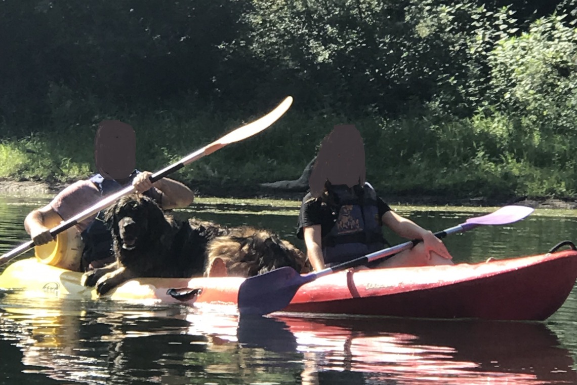 Canoë Kayak – Loueur CDCK81