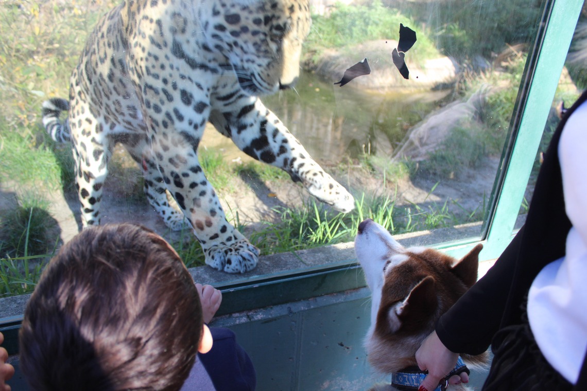 Zoo de Sarrebruck