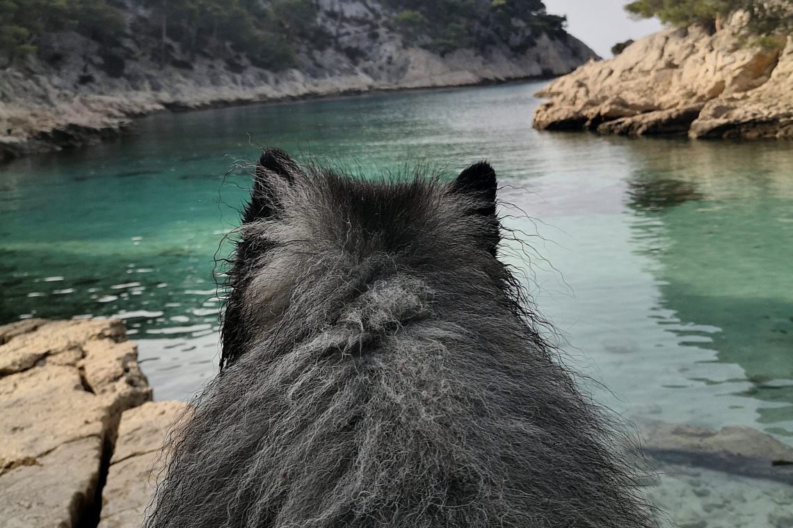 Loueur de Canoë LOKAYAK – Cassis