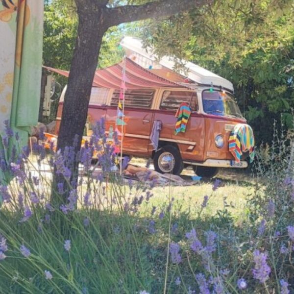 Emplacement du Camping les Lavandes Valensol à Valensol dans les Alpes-de-Haute-Provence