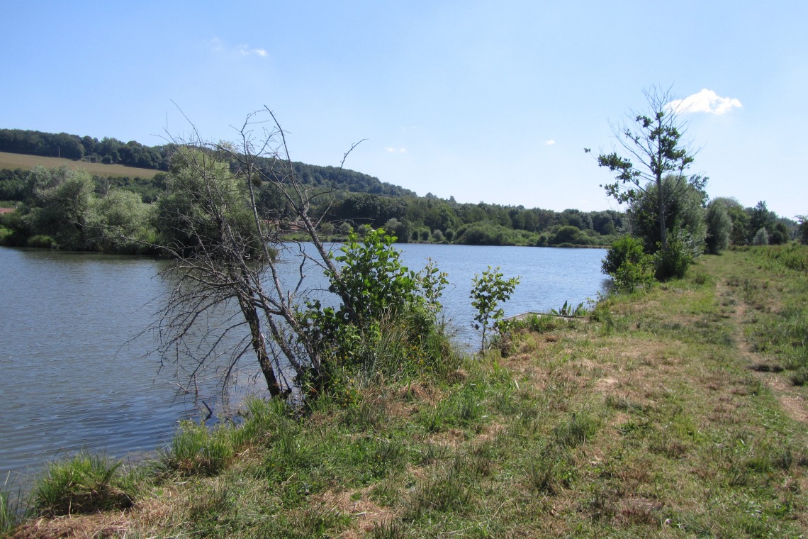 Le marais de Contes
