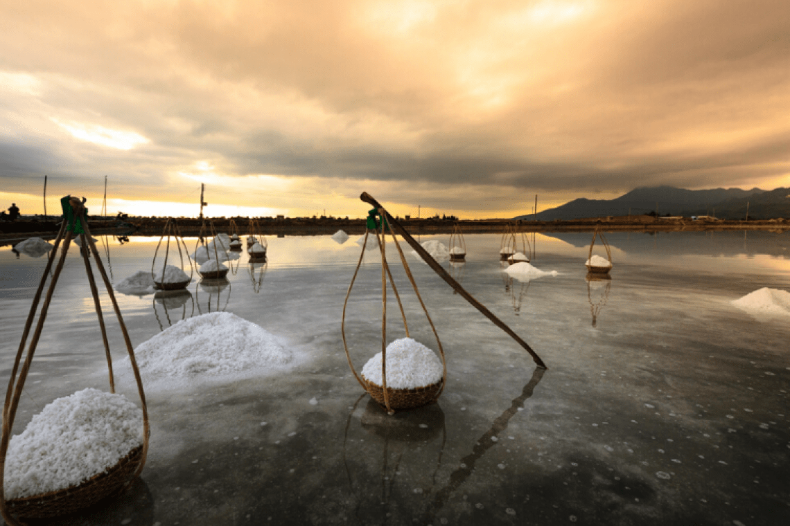 Les Salines – visite en bateau