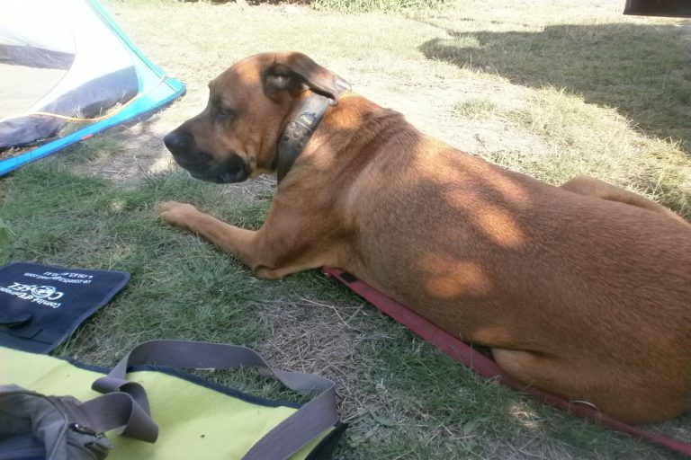 Camping au Petit Port – photo 1
