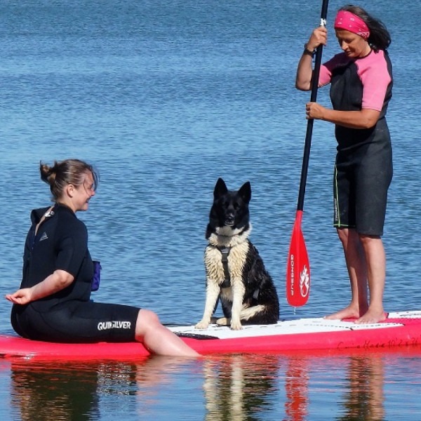 Cani-paddle avec Affinités Animales