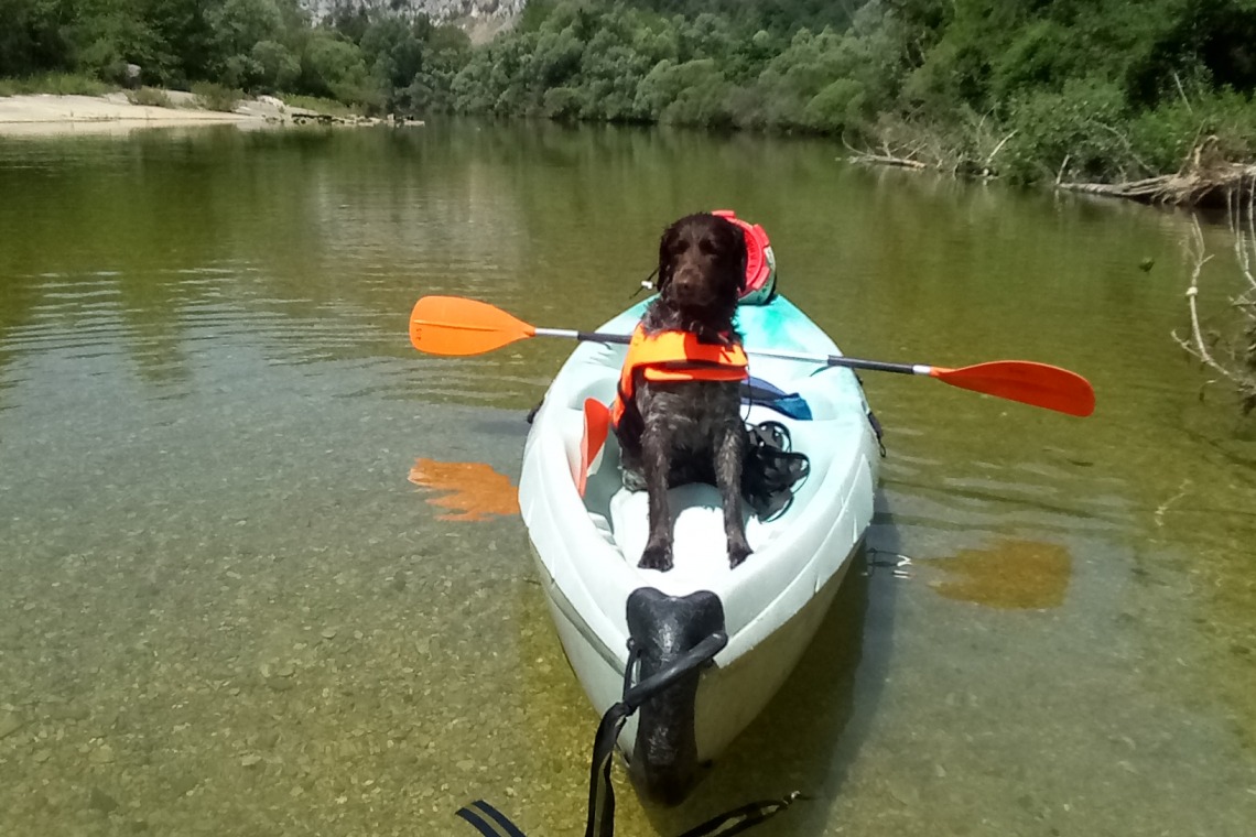 Canoe Kayak des eaux vives