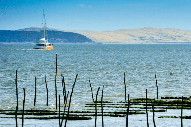 Cabane 24 – photo 1