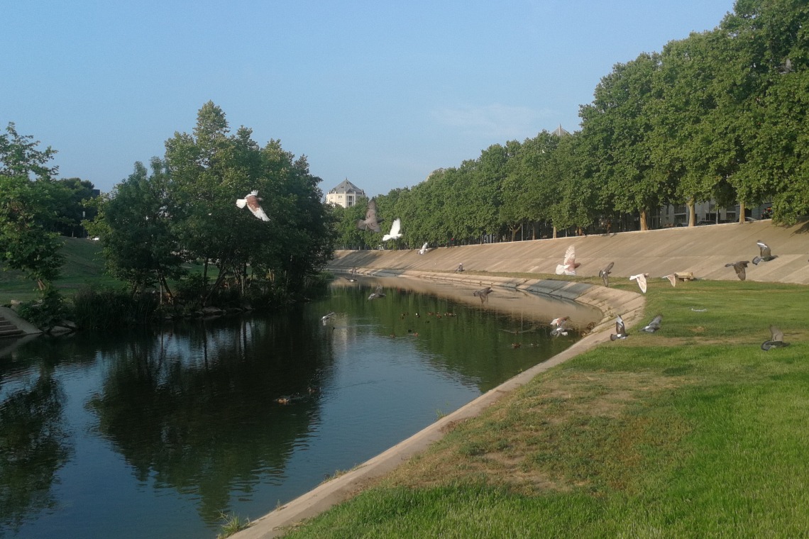 Balade sur les Rives du Lez