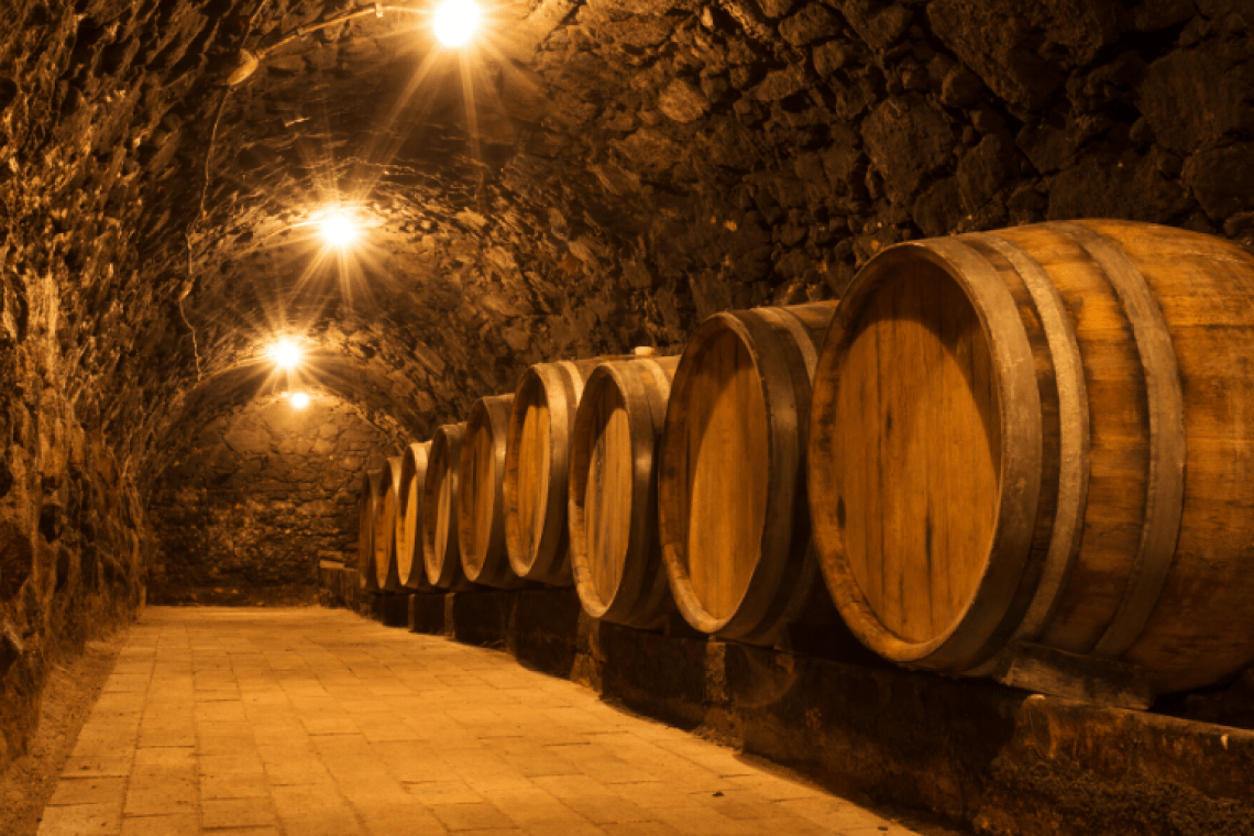 Cave à vins – Terre des Templiers