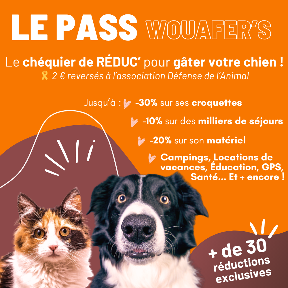 Pass Wouafer's réductions sur alimentation et frais santé véto chien chat