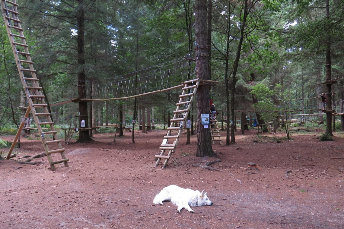 Acroforest