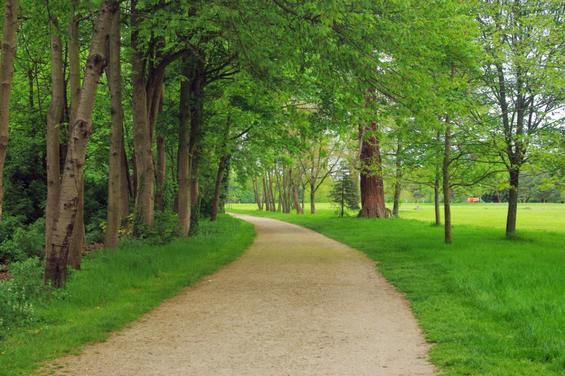 Parc de Noisiel