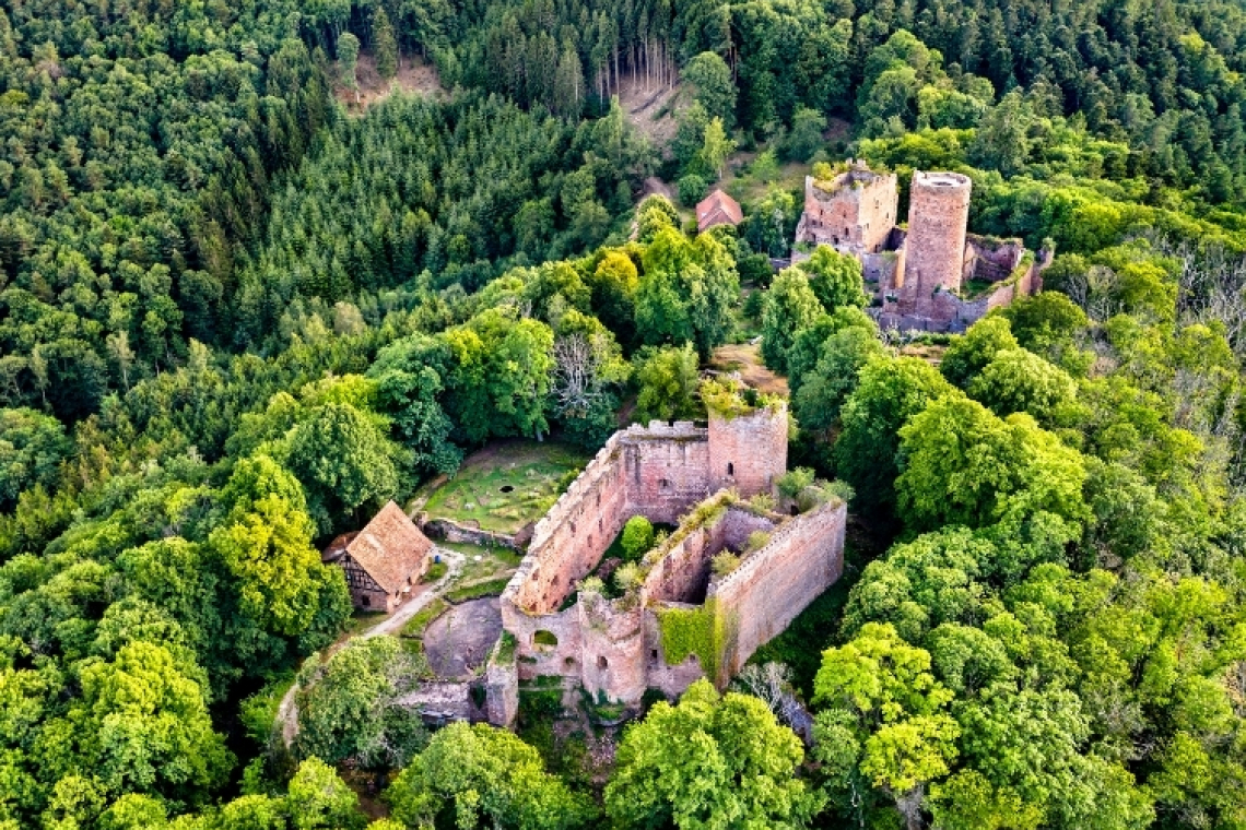 Château du Lutzelbourg