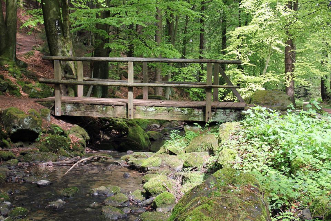 Vallée de la Chaussée