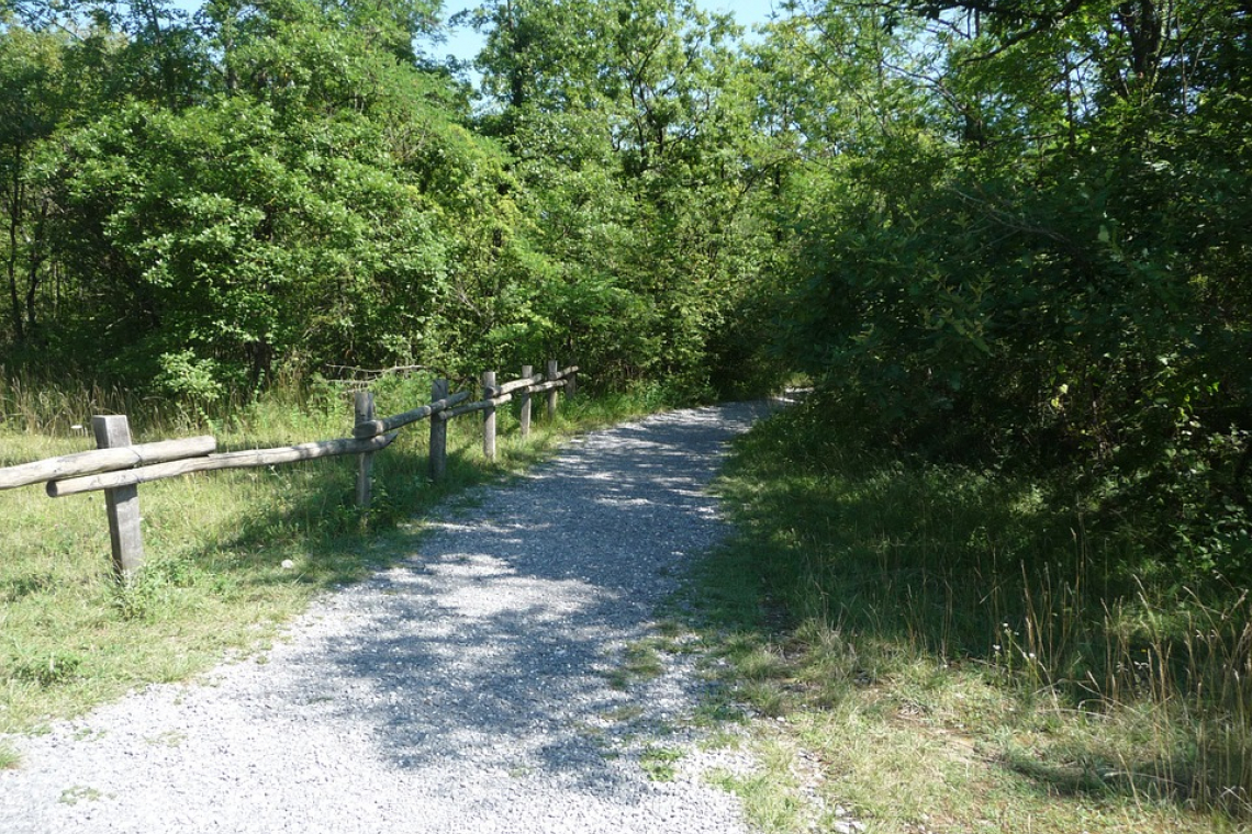 Parc Bois Magnier