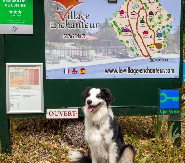 border_melodie_village enchanteur -location-vacances-chien