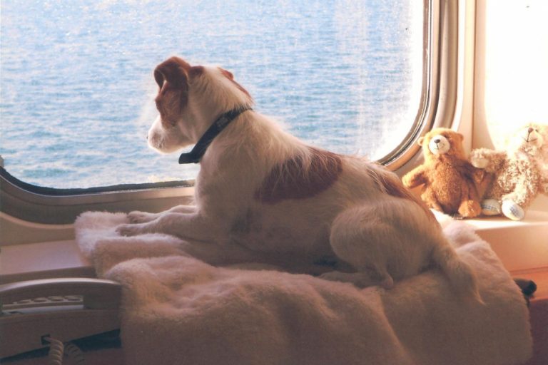 Compagnie Maritime Brittany Ferries – photo 3