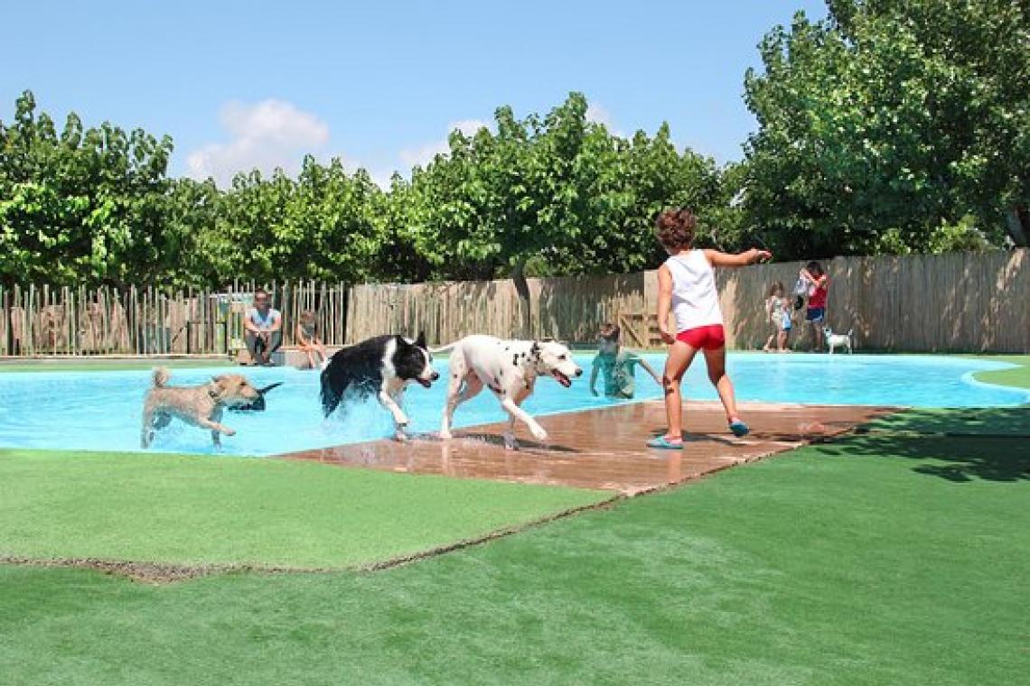 Camping & Resort Sangulí