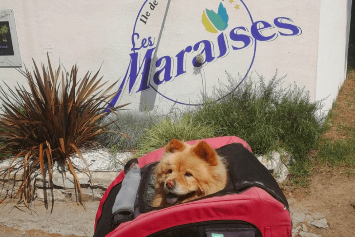 Camping les Maraises