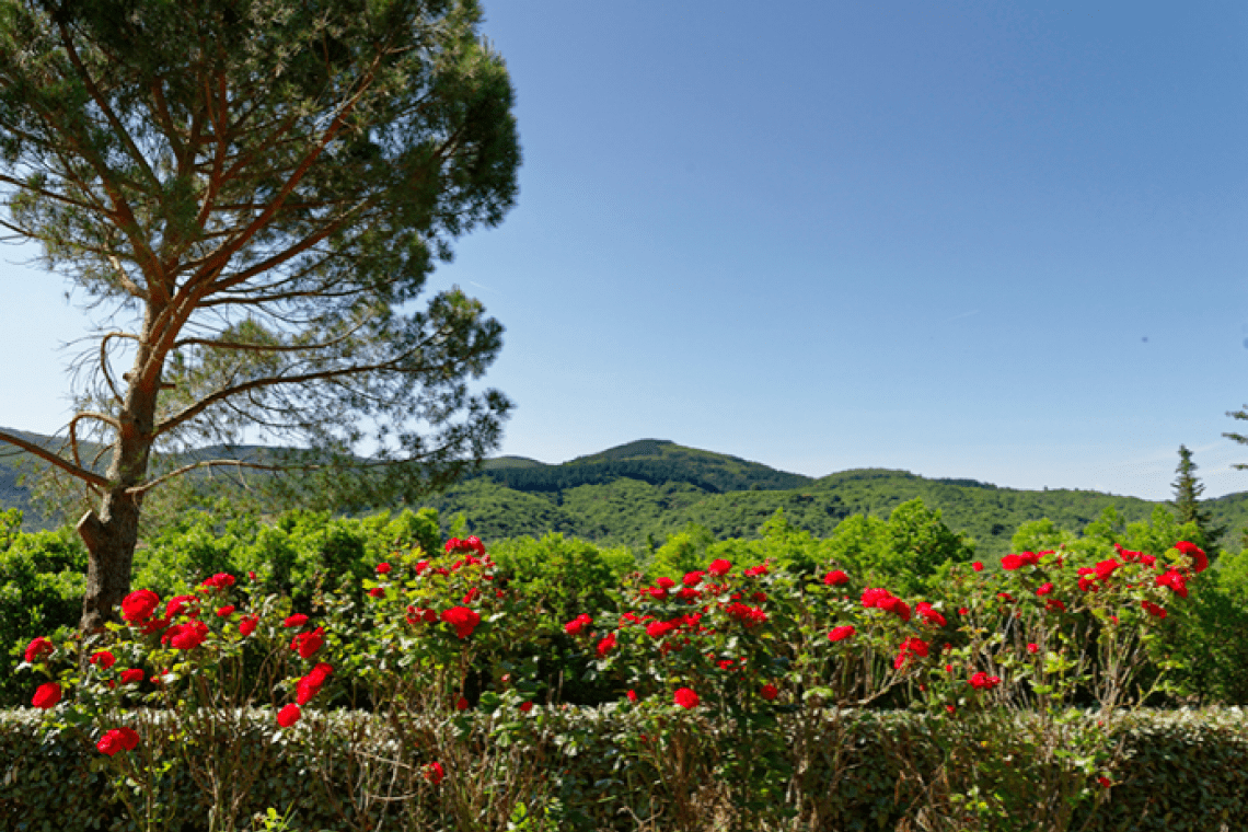 Camping Domaine Gâtinié
