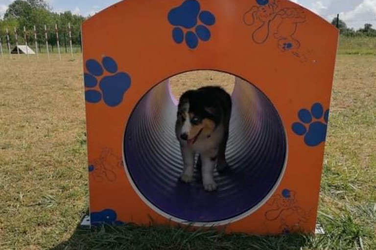 Camping du port de moricq en Vendée animaux acceptés - EmmèneTonChien.com