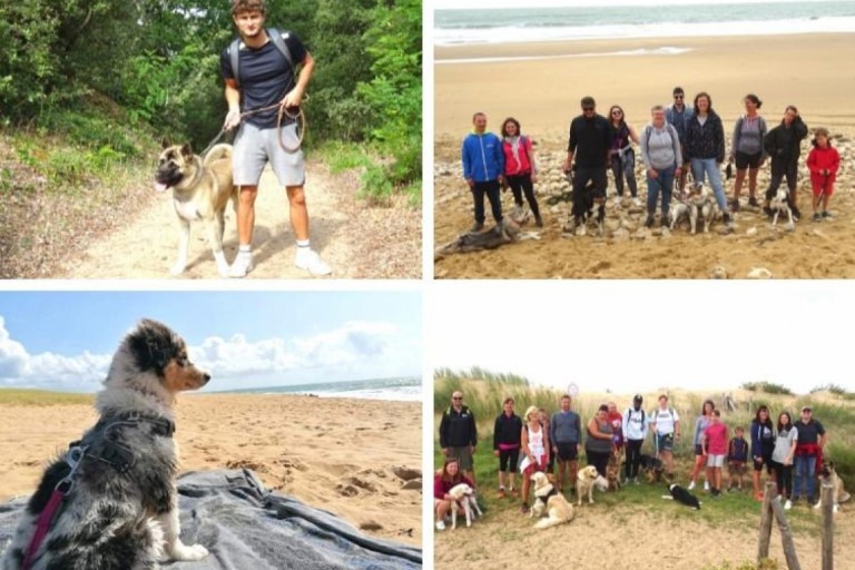 Camping du port de moricq en Vendée animaux acceptés - EmmèneTonChien.com