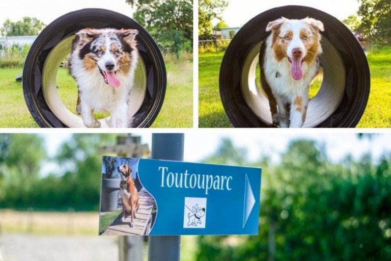 Camping du port de moricq en Vendée animaux acceptés - EmmèneTonChien.com