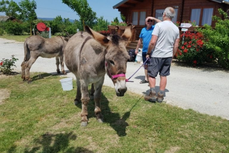 Camping L’escale Occitane – photo 17