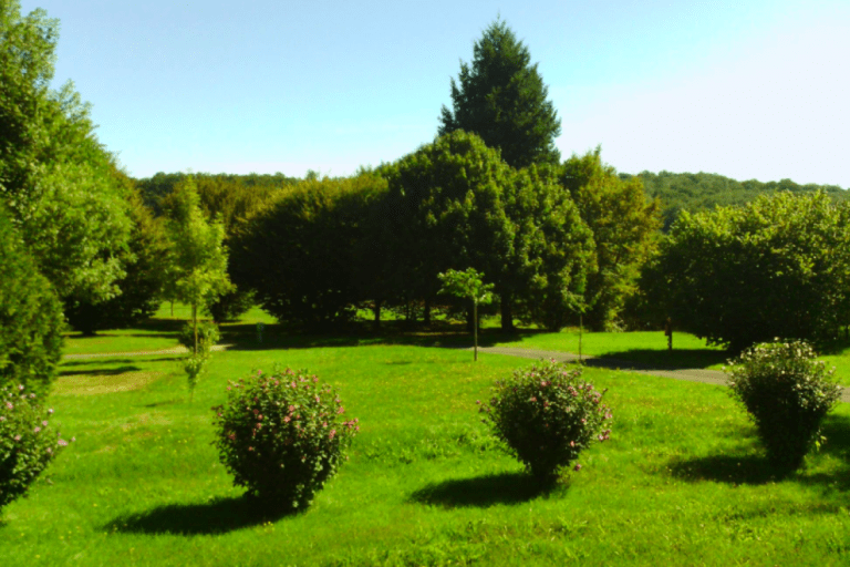 Camping les Nauves – Flower Campings – photo 2