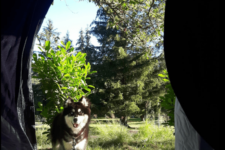 Camping Les Vernières – photo 1