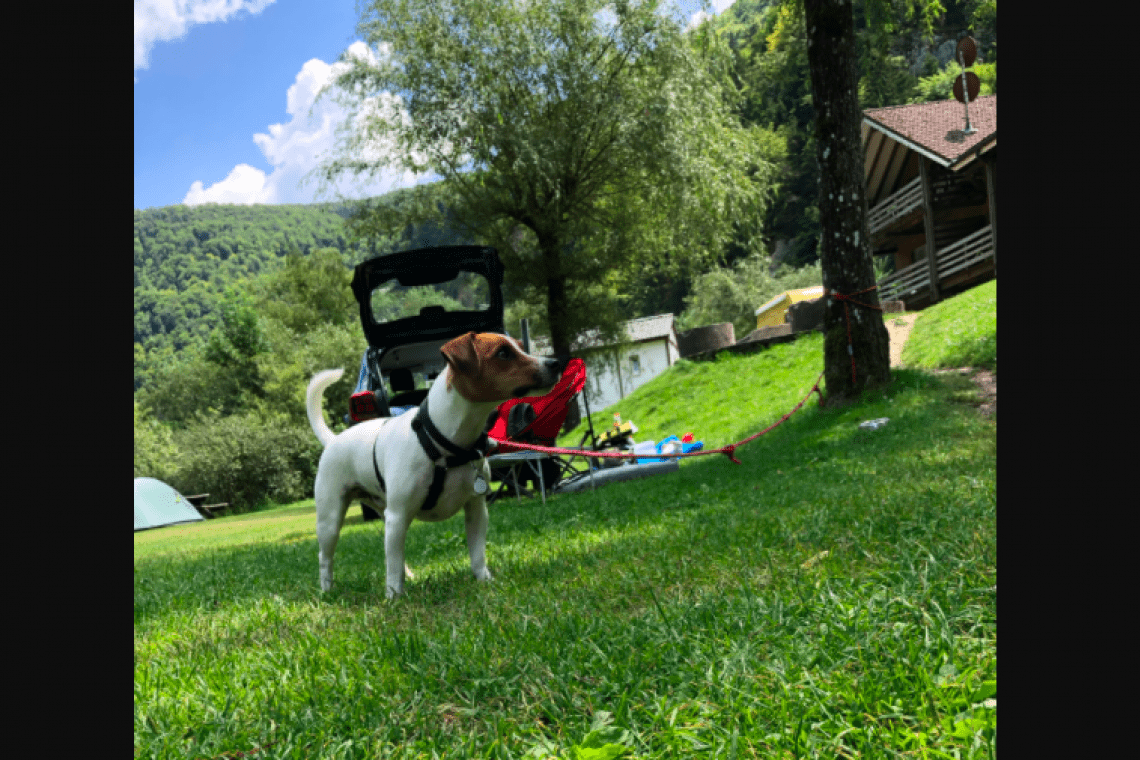 Camping Tariche