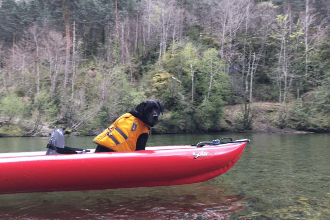 Canoë Montana