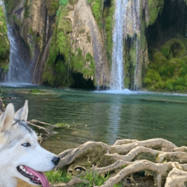 Cascade des Tufs