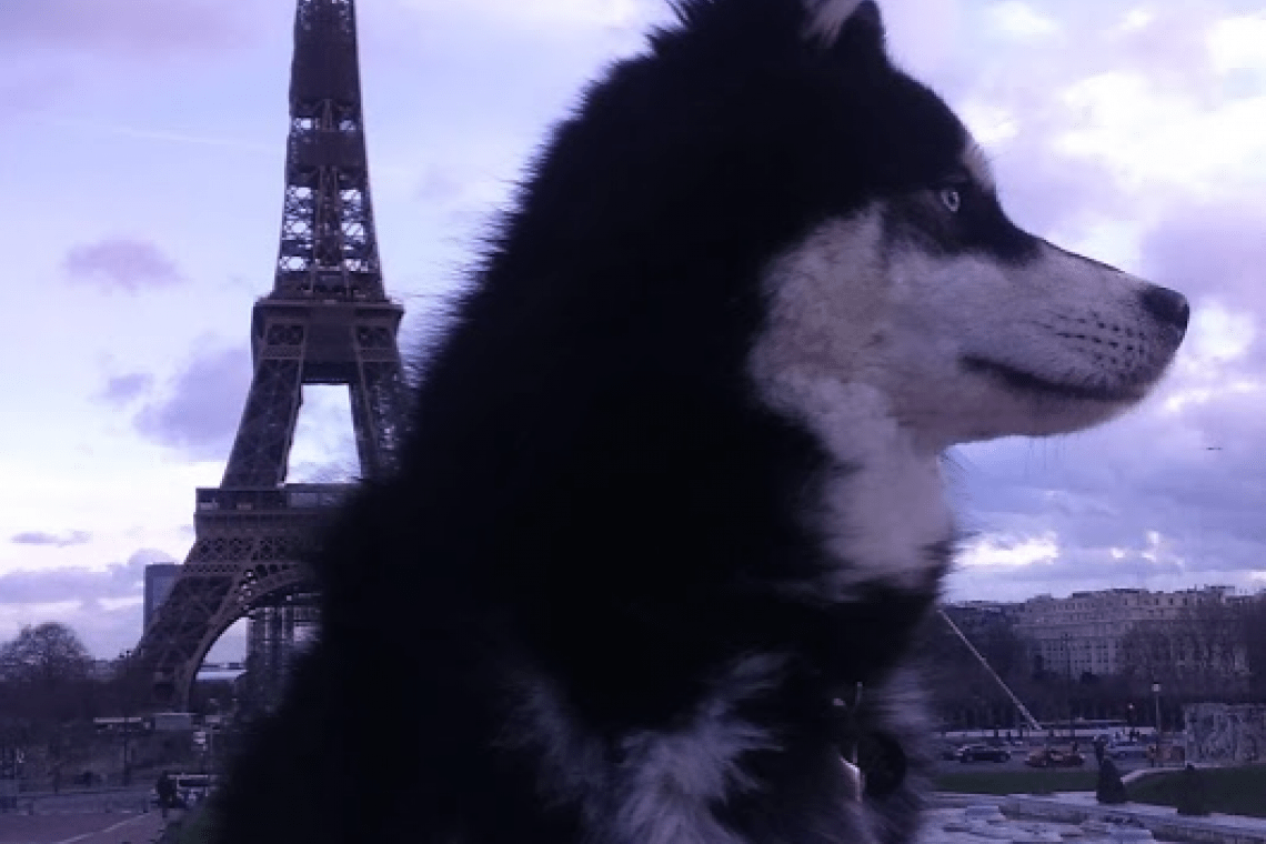 Visite du Champ de Mars