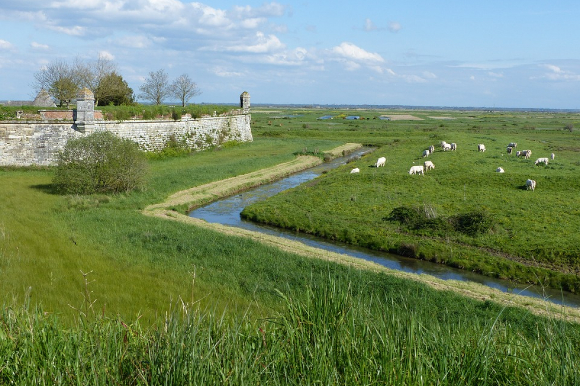 Citée Fortifiée de Brouage
