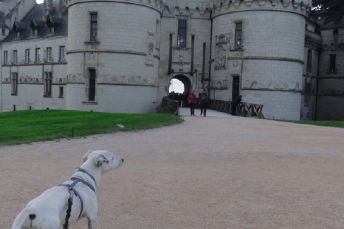 Jardin du château de Chaumont sur Loire