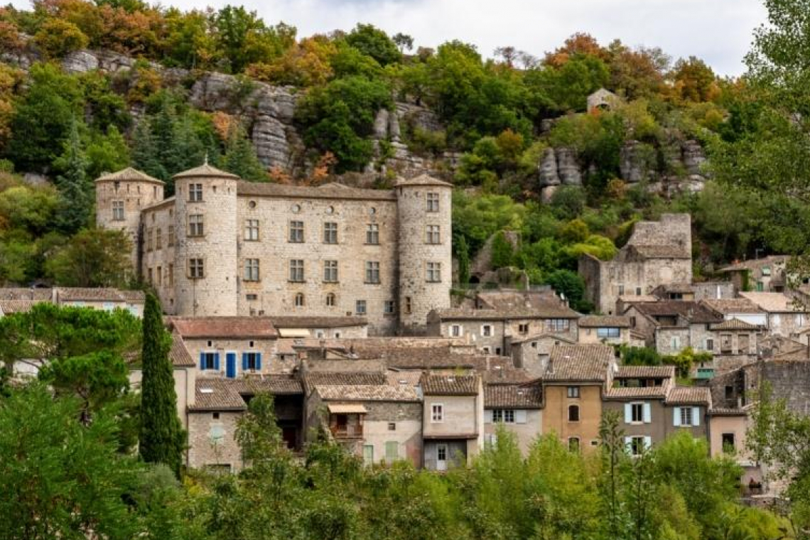 Château de Voguë