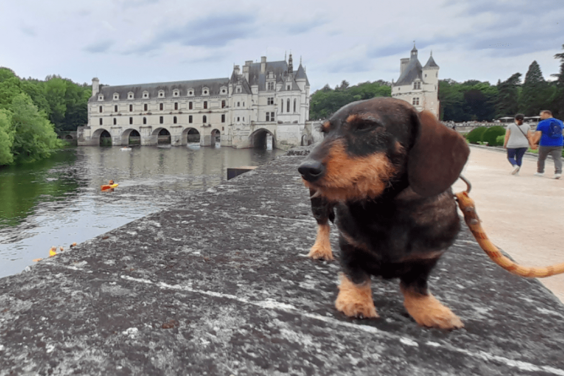 Parc du Chateau de Chenonceau