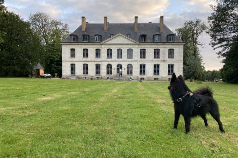 Château de Trébons – photo 1