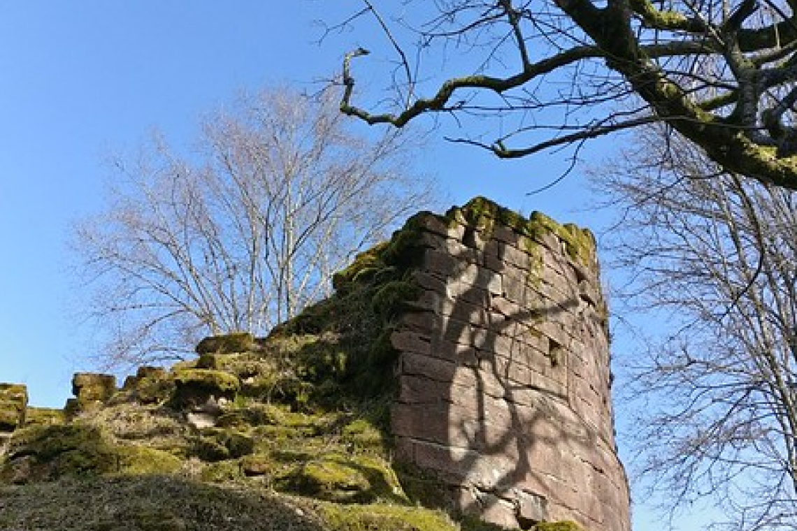 Château de Salm