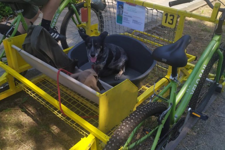 Gare vélo-rail de Médréac – photo 6