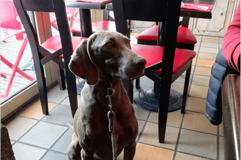 Crêperie Ty Skorn – photo 1
