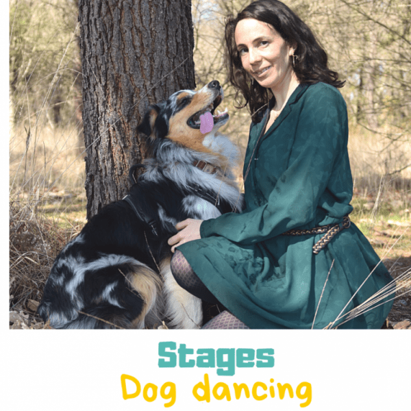 Dog Dancing - Danse avec ton chien