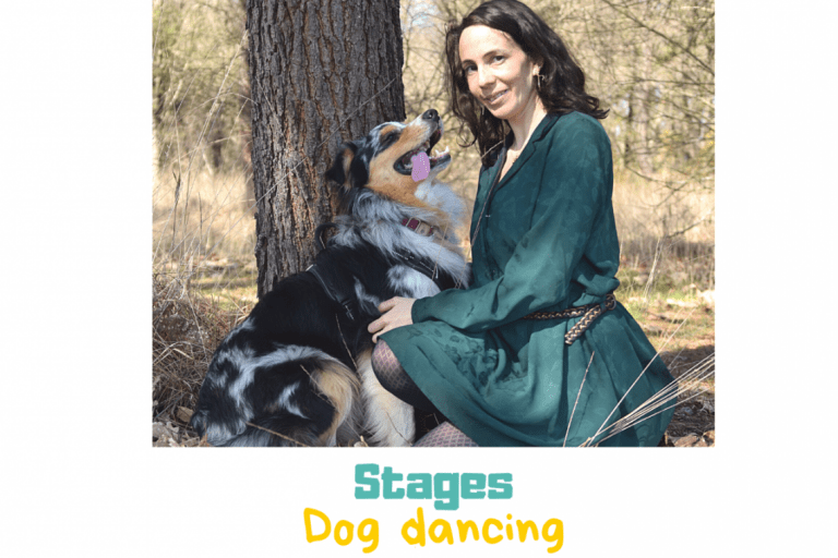 Dog Dancing – Danse avec ton chien – photo 3