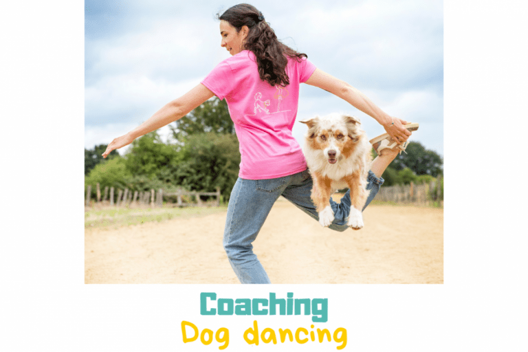 Dog Dancing – Danse avec ton chien – photo 2