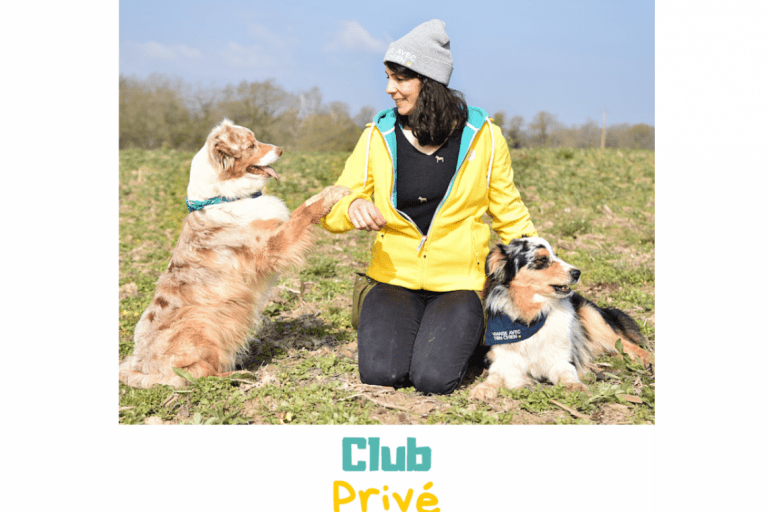 Dog Dancing – Danse avec ton chien – photo 5