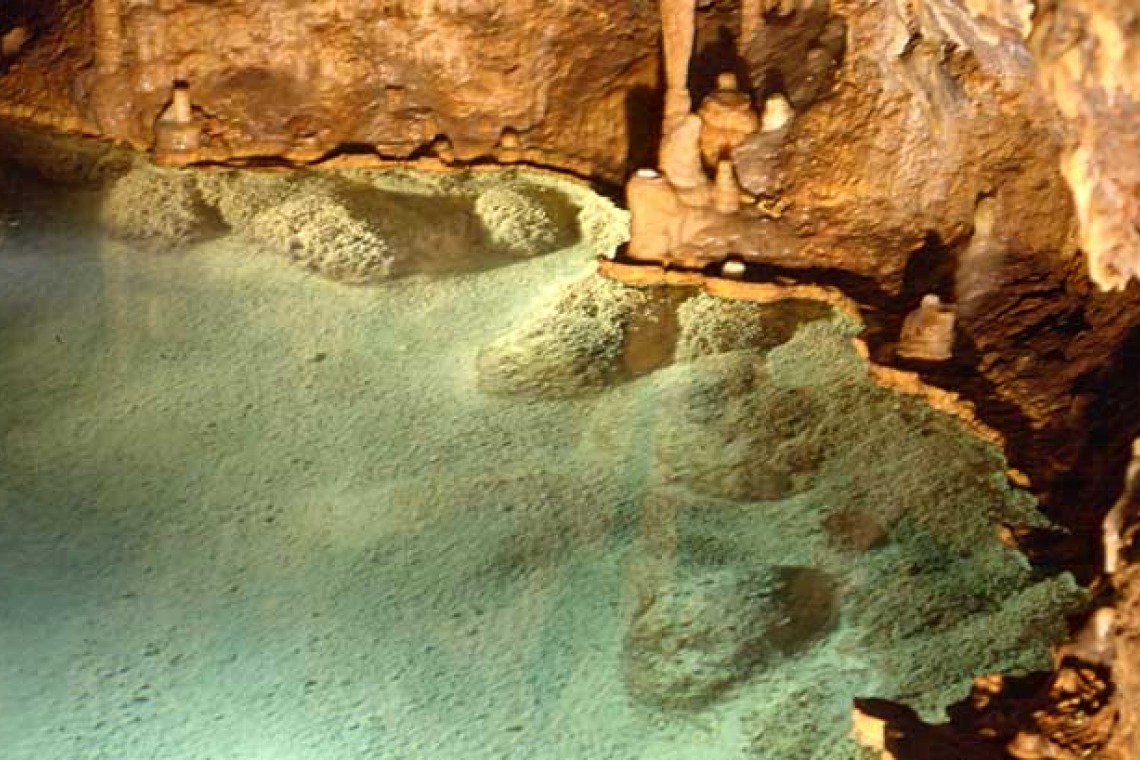 Grotte de Dargilan