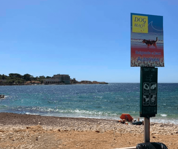 Dog Beach Bandol