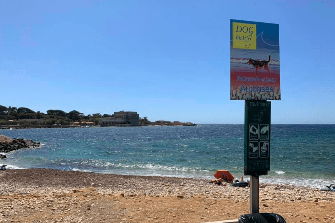 Dog-Beach – Bandol