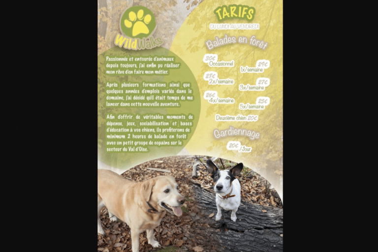 Wild Walks – Dog Sitter – photo 1