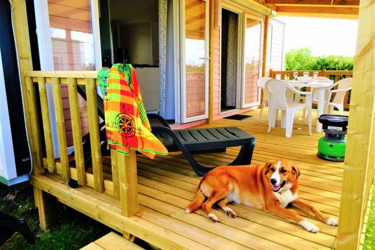 Camping du Port de Moricq – photo 10